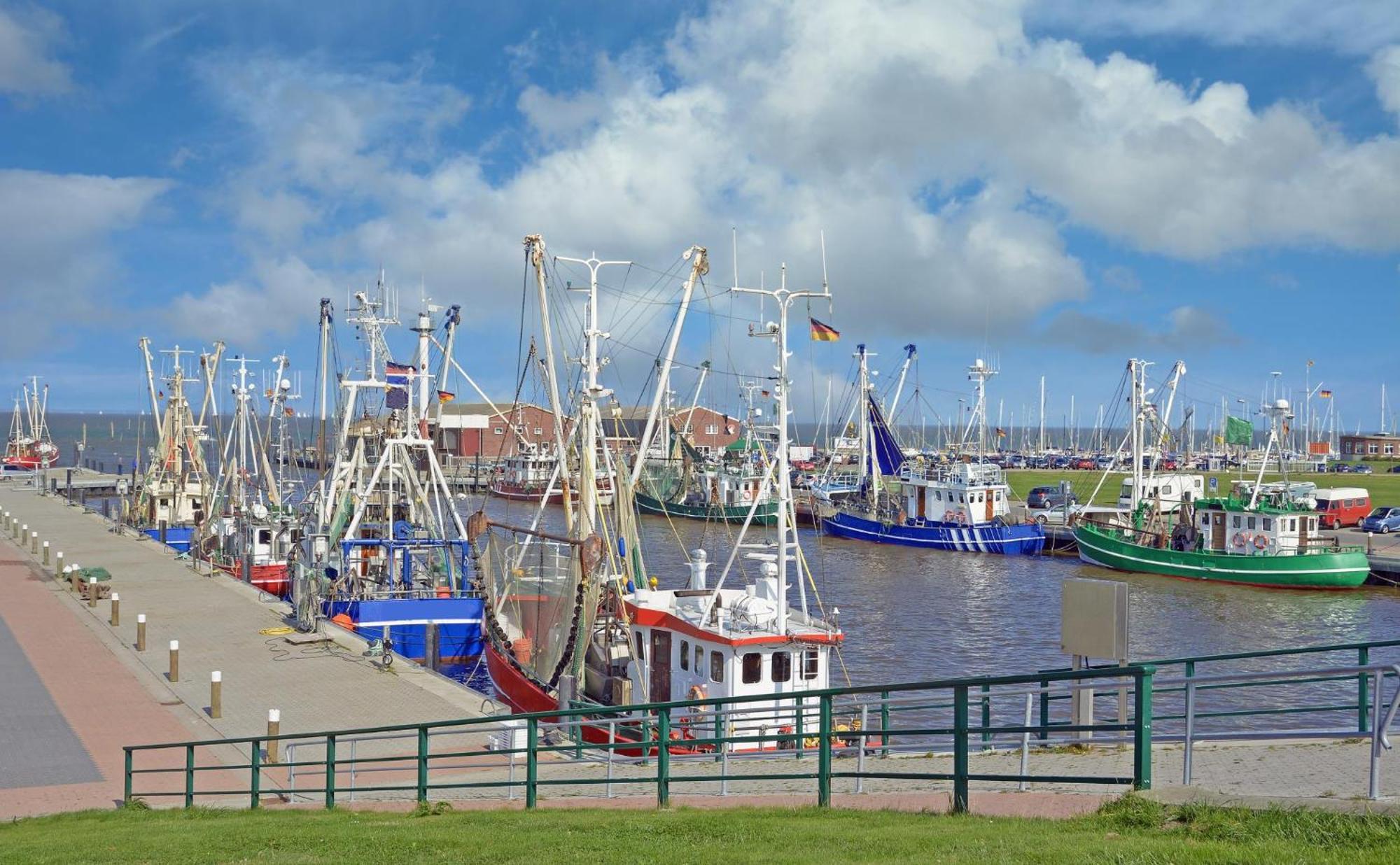 Ferienhaus Hornhecht Dornumersiel Exteriér fotografie
